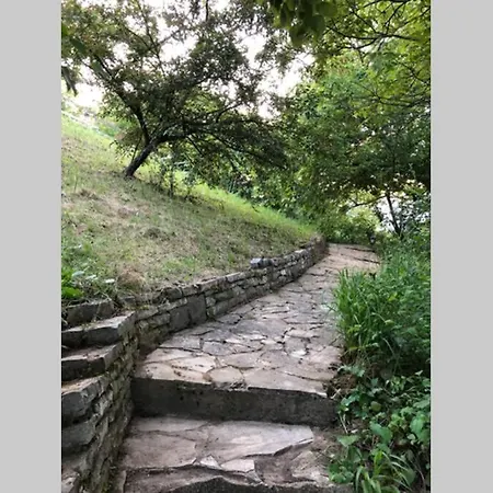 Kornelija *