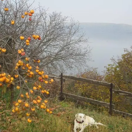 Kornelija Stari Slankamen