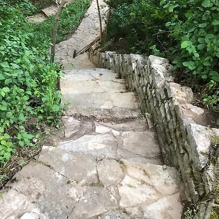 Kornelija *