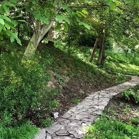 Villa Kornelija Stari Slankamen