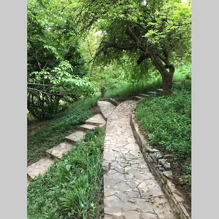 Villa Kornelija Stari Slankamen