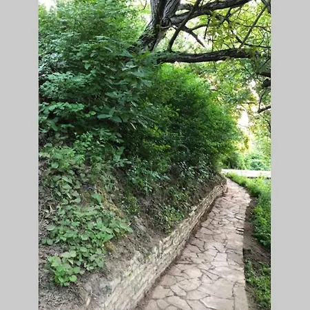 Kornelija Stari Slankamen