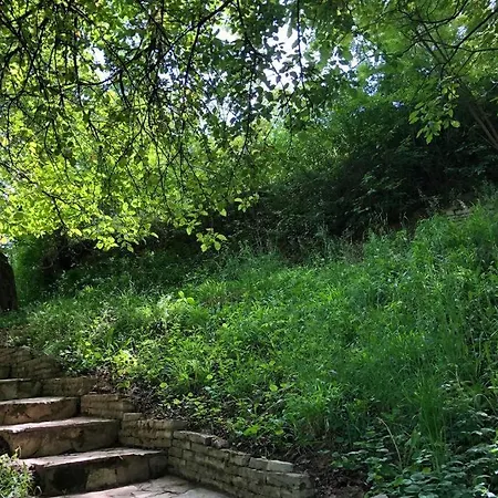 Kornelija * Stari Slankamen