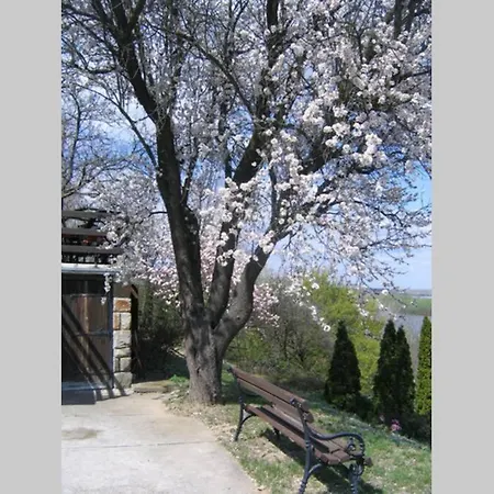 Kornelija