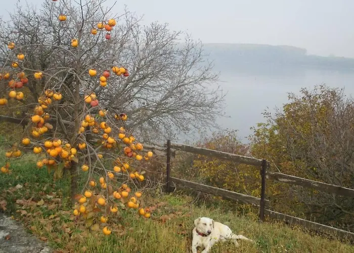 Kornelija Stari Slankamen